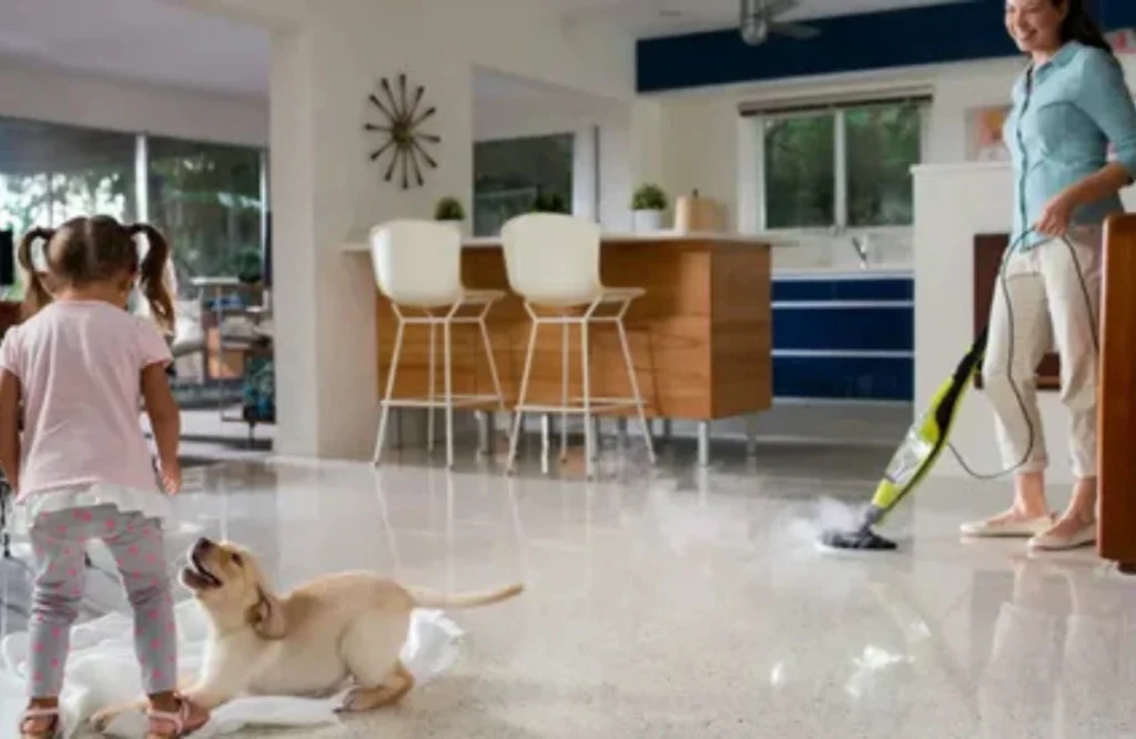 Best Cleaing services for home